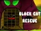 Black Cat Rescue — безплатна онлайн игра