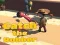 Catsh the robber — безплатна онлайн игра
