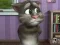 Talking Tom Cat 2 — безплатна онлайн игра