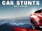 Car Stunts Sky Tour — безплатна онлайн игра