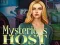 Mysterious host — безплатна онлайн игра