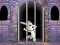 Victory Rabbit Escape — безплатна онлайн игра