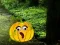 Help The Hungry Monkey — безплатна онлайн игра