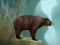 Caged Tiger Cub Escape — безплатна онлайн игра