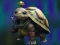 Isolated Turtle Escape — безплатна онлайн игра