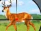 Wild Hunt Hunting Games 3D — безплатна онлайн игра