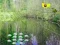 Sunlight Forest Adventure — безплатна онлайн игра