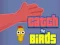Catch the Birds — безплатна онлайн игра