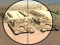 Camo Sniper — безплатна онлайн игра