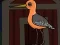 Cute Godwit Escape — безплатна онлайн игра