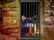Hidden Cat Escape — безплатна онлайн игра