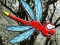 Escape From Dragonfly Forest — безплатна онлайн игра