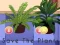 Save the Plants — безплатна онлайн игра