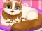 Cute Kitty Pregnant — безплатна онлайн игра