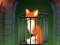 Fox in the Forgotten Ruins — безплатна онлайн игра