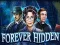 Forever Hidden — безплатна онлайн игра