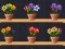 Good Flower Master — безплатна онлайн игра