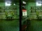 Robot Bar Spot the differences — безплатна онлайн игра