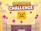 Sponge Challenge — безплатна онлайн игра