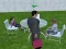 Millionaire Simulator 2024 — безплатна онлайн игра