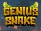 Genius Snake — безплатна онлайн игра