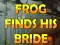 Frog Finds His Bride — безплатна онлайн игра