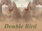 Double Bird — безплатна онлайн игра