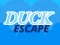 Duck Escape — безплатна онлайн игра