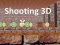 Shooting 3D — безплатна онлайн игра