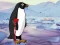 Heal the Wounded Penguin — безплатна онлайн игра