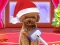 Christmas ASMR Makerover Salon — безплатна онлайн игра