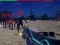 Zombie Survivor — безплатна онлайн игра