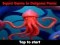 Squid Game In Dalgona Panic — безплатна онлайн игра
