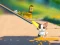 Cat Challenge — безплатна онлайн игра