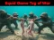 Squid Game Tug Of War — безплатна онлайн игра