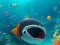 Escape The Shark Cage — безплатна онлайн игра