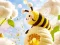 Find The Differences: Little Bee's Adventure — безплатна онлайн игра