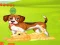 Bunny Key Quest — безплатна онлайн игра