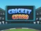 Cricket Craze — безплатна онлайн игра