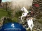 Ertugrul Gazi Horse Sim — безплатна онлайн игра