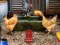 Poultry Farm Easter Escape — безплатна онлайн игра