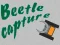 Beetle Capture — безплатна онлайн игра