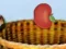 Harvesting — безплатна онлайн игра
