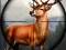 Animal Safari Hunter 2020 — безплатна онлайн игра