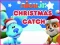 Nick Jr. Christmas Catch — безплатна онлайн игра