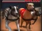 Greyhound Racing — безплатна онлайн игра