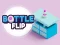 Bottle Flip — безплатна онлайн игра