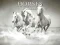 Horses Puzzle — безплатна онлайн игра