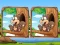 Jungle 5 Diffs — безплатна онлайн игра