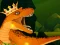 The Dino King — безплатна онлайн игра
